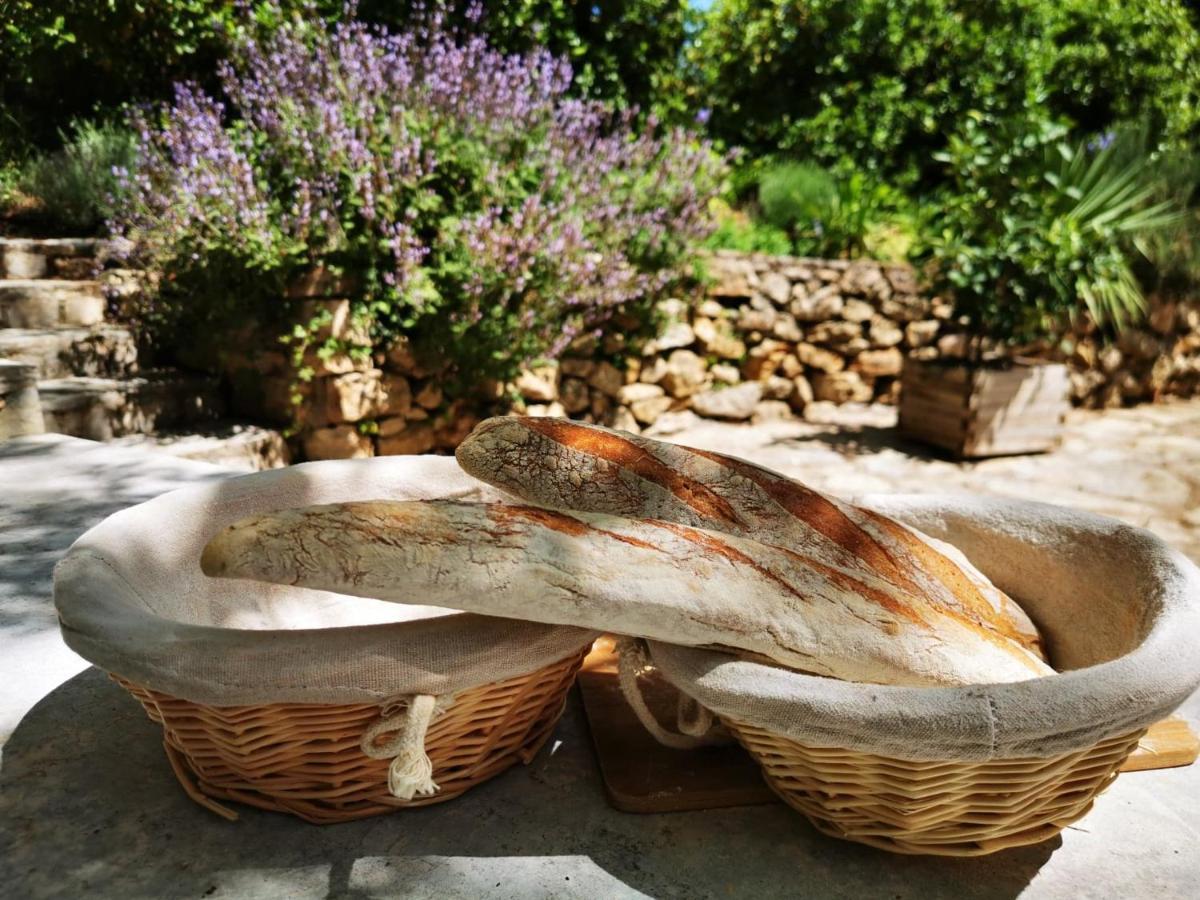La Maison Du Soleil Provence Ντραγκινιάν Εξωτερικό φωτογραφία