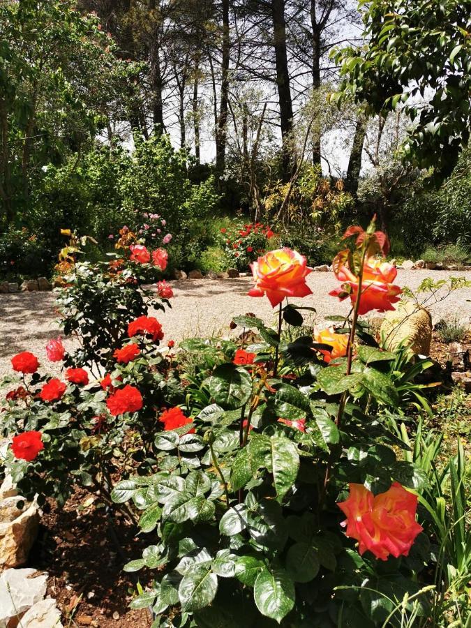 La Maison Du Soleil Provence Ντραγκινιάν Εξωτερικό φωτογραφία
