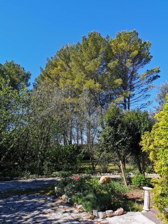 La Maison Du Soleil Provence Ντραγκινιάν Εξωτερικό φωτογραφία