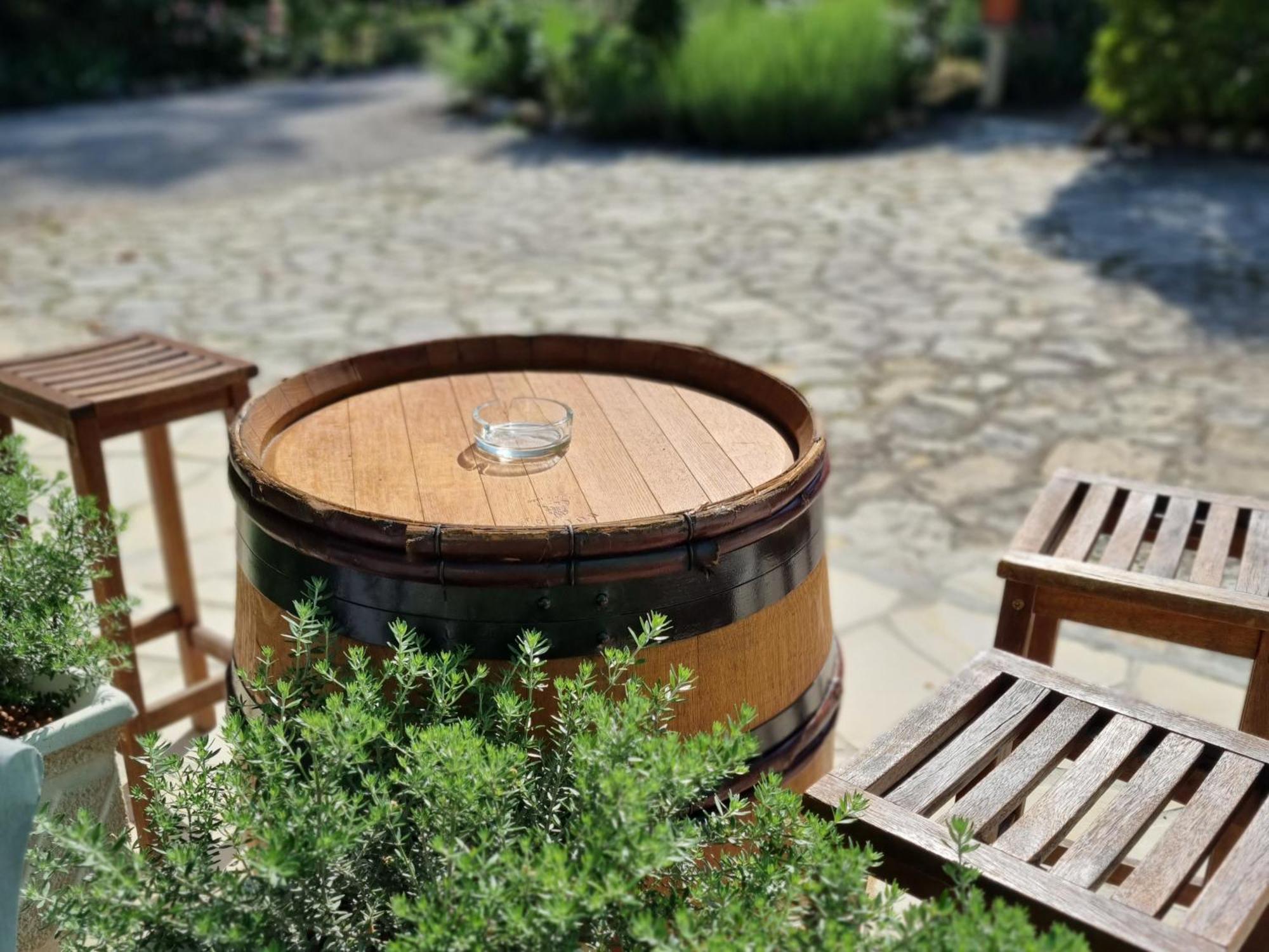 La Maison Du Soleil Provence Ντραγκινιάν Εξωτερικό φωτογραφία